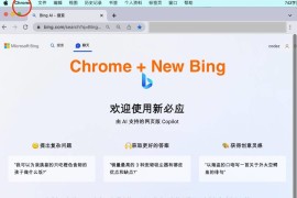 微软New Bing完美聊天机器人源码，支持ChatGPT提示词 国内可用，基本兼容微软 Bing AI 所有功能