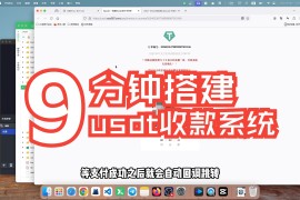 epusdt支付中间件 搭建自己的USDT收款API接口