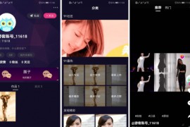 价值1.5W的仿抖音视频app/仿91视频app/短视频功能/原生双端开发源码