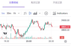 BTC虚拟币投注竞猜大小单双游戏平台