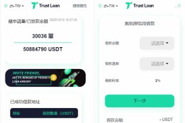 【商业源码】6国语言的USDT借贷授权管理源码