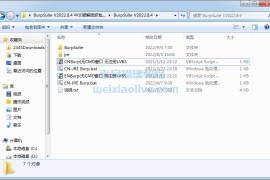 BurpSuite V2022.8.4 中文破解版抓包工具（附汉化包）