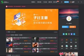 wordpress模板 zibll子比主题6.4.1开心版免授权